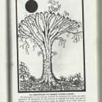 Arboricultura Moderna Compendio, Shigo Alex.L .,1994